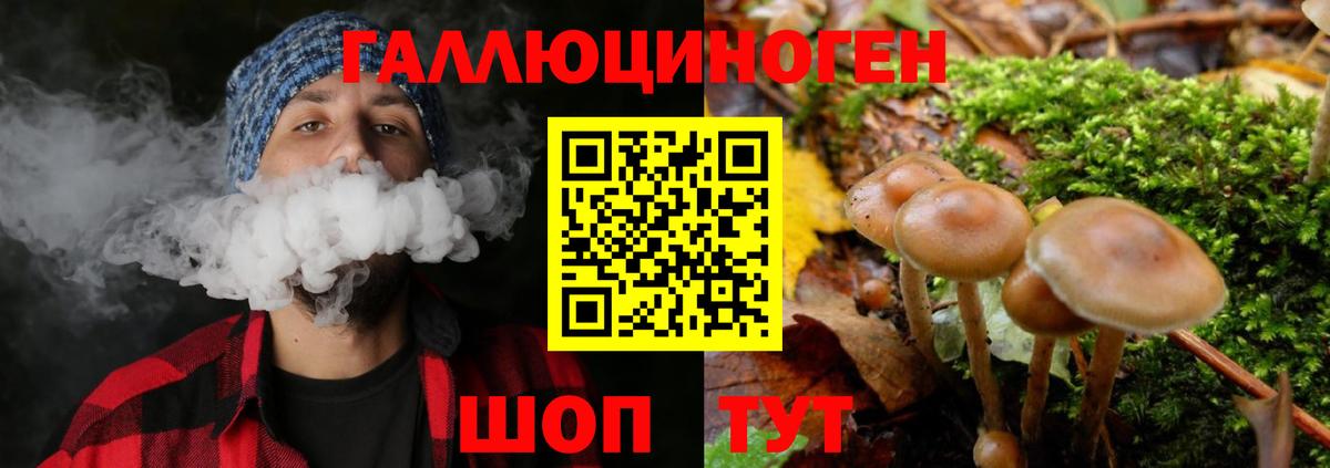 Дагестанские Огни  Галлюциногенные грибы Cubensis  Псилоцибиновые грибы Psilocybe  Вход с VPN 